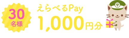 30名様 えらべるPay1,000円分