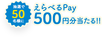 抽選で50名様にえらべるPay500円分当たる！！