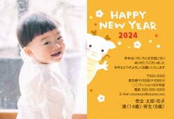 j_fpy3306w_or01