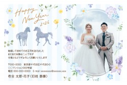 f_apy4118w_bl01