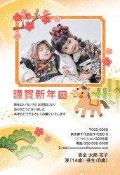 j_apy4079h_or01