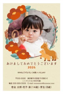 フォトの参考例