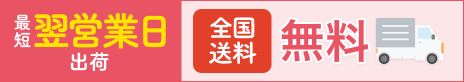 最短翌営業日出荷 全国送料無料